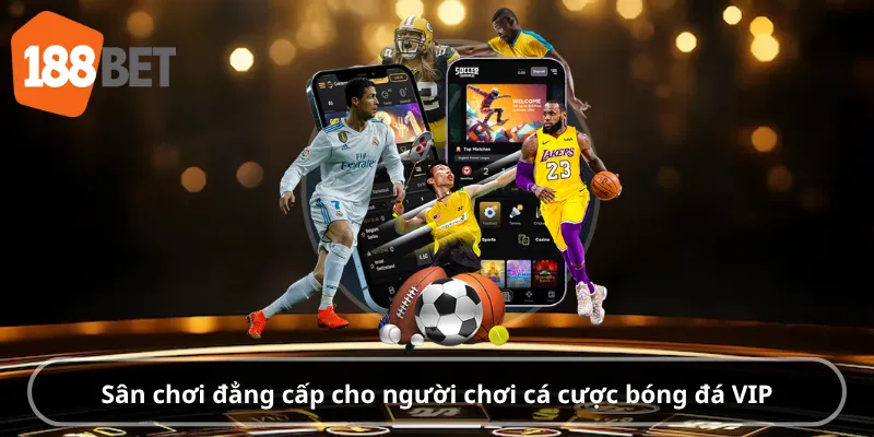 Sân chơi đẳng cấp cho người chơi cá cược bóng đá VIP